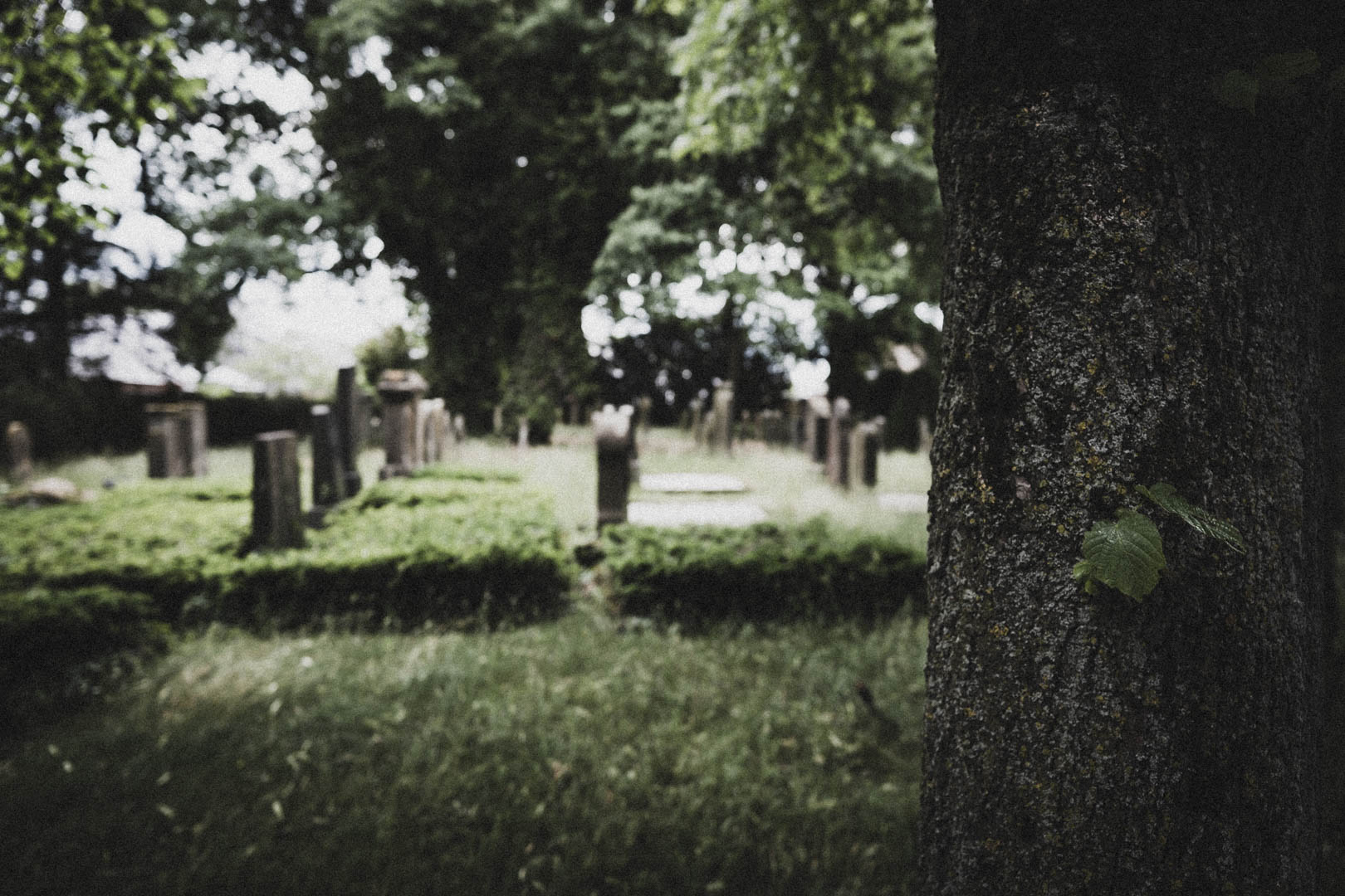 Rheda Wiedenbrück 0520